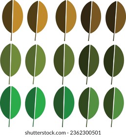 Leaves change its color through time vectors