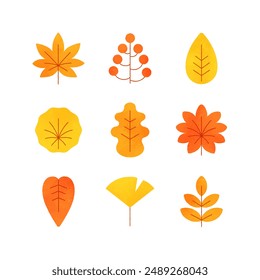 Leaves changing color. Autumn leaves icon. Vector illustration.