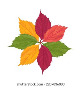Leaves Circle, Leaves Vector, Circle of Leaves, Fall, Leaves Wreath, Autumn, Plant Background, Vector Illustration Background	