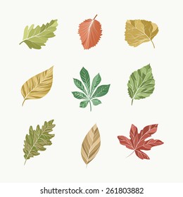 leaves collection