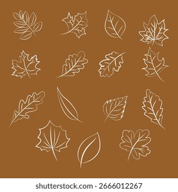 Hojas Colección Ilustración Diseño de Vector