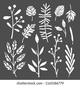 Leaves collection on dark background. Autumn leaves and plants silhouettes vintage set
