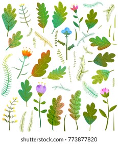 leaves collection. Summer or fall forest items collection. Vector illustration.