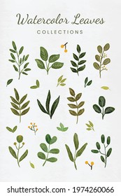 Leaves Collection with Watercolor Style in Pastel Color