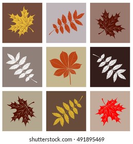 Leaves in the colored squares.