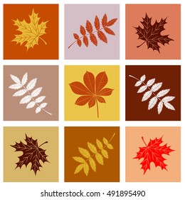 Leaves in the colored squares.