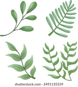 Leaves come in many different shapes and colors.