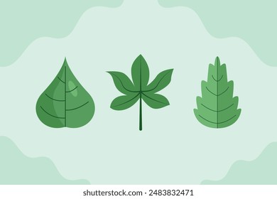 Leaves concept. Colored flat vector illustration isolated.