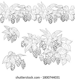 leaves and cones of hops, hops ingredient for making beer, set of compositions for design, vector illustration