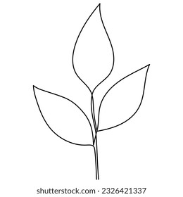 Leaves continuous line drawing. Plant branch one line art. Vector illustration isolated on white.