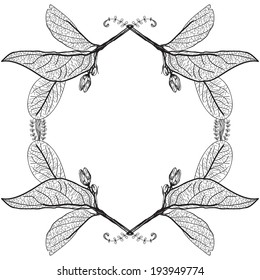 Leaves contours on a white background. floral border. Sketch frames, hand-drawn. Vector  