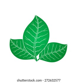 The Leaves - Creative logo. Element for your design.