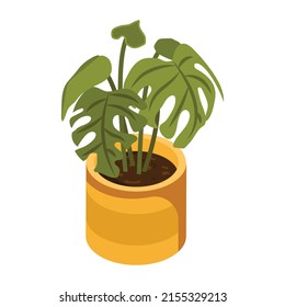 Leaves with cuts, an isometric icon of swiss plant 

