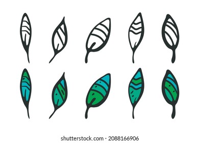 Leaves Decorative Set, isolated element. Hand drawn black ink brush stroke outline leaf pack, organic shapes in green tones color. White background. Vector illustration