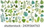 Leaves design elements collection - Bundle of vector illustration of various leaf shapes in different green and orange colours on white background