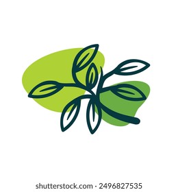 Leaves design elements - Vector illustration leaf shapes in  green colours on white background