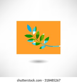  leaves design elements. Vector illustration.