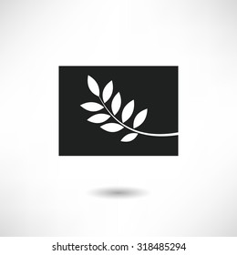  leaves design elements. Vector illustration.