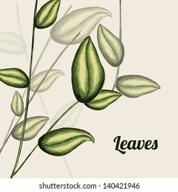 leaves design over white background vector illustration