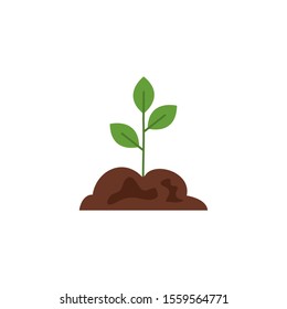 leaves design, Plant floral garden nature decoration ornament and season theme Vector illustration
