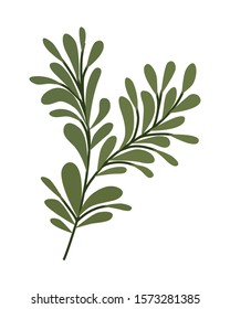 leaves design, Plant floral garden nature decoration ornament and season theme Vector illustration