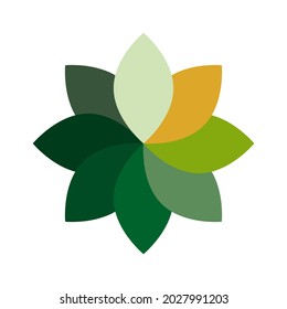 Leaves of different colors on a white background