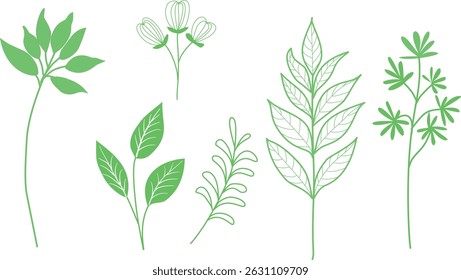 leaves with different leaf characteristics