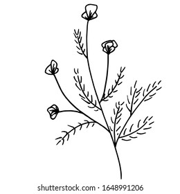 Leaves of different plants. The foliage is green. Outline, one line isolated on white background, hand drawing, doodle. Herbs, botanical elements. Use for greeting cards and invitations.