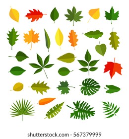 leaves of different plants, vector graphic icons set illustrations, isolated on white background