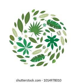 The leaves of different trees arranged in the shape of a circle. Design element, vector illustration, isolated on white background.