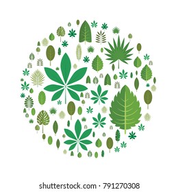 The leaves of different trees arranged in the shape of a circle. Design element, vector illustration, isolated on white background.