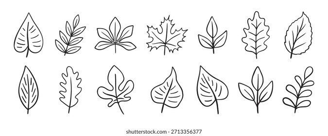 Hojas diferentes árboles doodle dibujado a mano conjunto de iconos. Colección de símbolos de Clipart de línea de dibujo de esquema. Ilustración vectorial