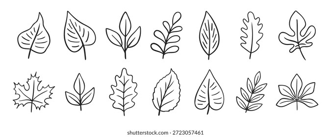 hinterlässt verschiedene Bäume doodle handgezeichnete Symbol-Set. Kollektion von Skizzierlinien-Clipart-Symbolen. Vektorgrafik