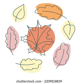 Hojas de diferentes árboles estilo doodle. Acogedora Caída. Hojas de otoño. Gráficos vectoriales aislados en fondo blanco.