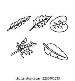 The leaves of different trees. Hand drawn illustration. Black drawing of plants for stickers, postcard. vector clipart of plan. 