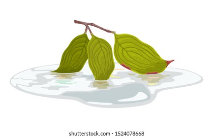 Leaves of dogwood tree on branch starting senescent is in water puddle in outdoor. Sadness, melancholy because of ending summer season, vacation concept. Cartoon vector illustration isolated on white.
