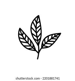 leaves doodle icon, vector illustration