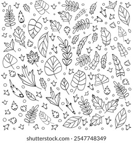 Folhas Doodle Vetor Fundo, desenhado à mão com uma variedade de folhas dinâmicas, para projetos com temas ecológicos, naturezas, cartões de saudação, banners 