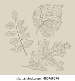 Leaves doodle. Vector illustration. Hand drawn artwork. Coloring book page for adults.