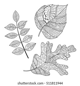Leaves doodle. Vector illustration. Hand drawn artwork. Black, white.Coloring book page for adults.