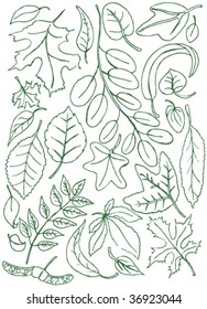 Leaves doodles