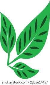 Leaves drawing with abstract shape. Abstract Plant Art design for print, cover, Minimal and natural wall art. Vector illustration.