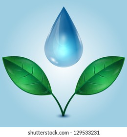 leaves and a drop of water