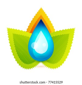 Leaves and droplet. Eps10 nature concept