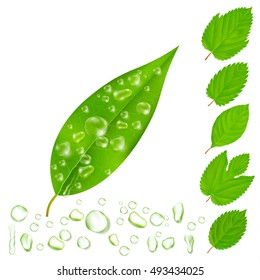 Leaves with drops customizable isolated images set with various editable shapes of drops and leaves vector illustration