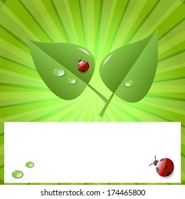 The leaves drops, and the ladybug  for your design, decoration, customers, advertising, business cards
