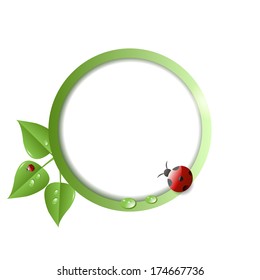 The leaves drops, and the ladybug  for your design, decoration, customers, advertising, business cards