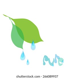 leaves with drops of water