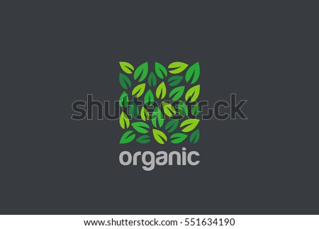 Leaves Eco Logo square shape design vector template.
Organic Natural Garden Park Logotype concept icon