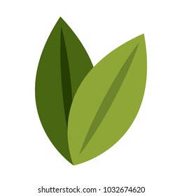 Leaves eco symbol